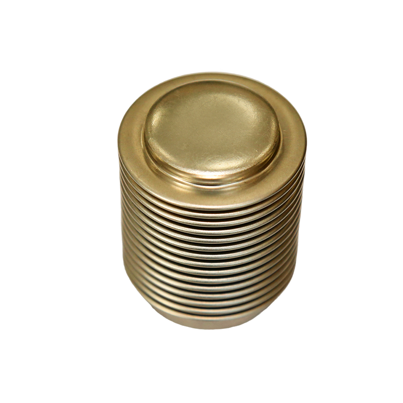 ● Stainless Steel Bellows